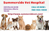 Professional Veterinary Care Services Summerside Vet Hospital Image